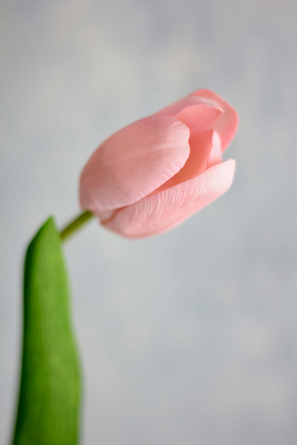 【パステルチューリップ3輪造花】｜アーティフィシャルフラワー 花瓶アレンジ| 春｜ギフト・インテリア雑貨 4枚目の画像