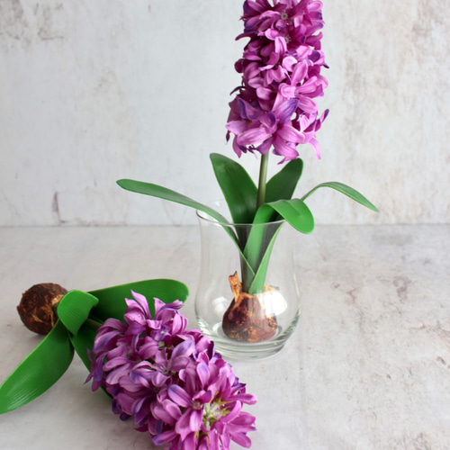 ヒヤシンス様 球根付きパープルヒヤシンス造花単品【ガラス花瓶別売り】 アート