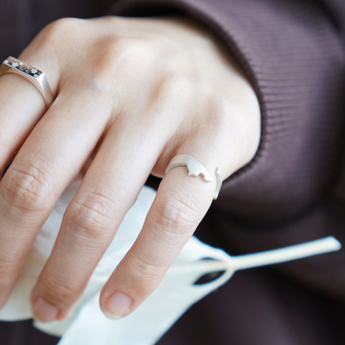nyan』 RING / SV925 ≪送料無料≫ 猫 ねこ ネコ 指輪・リング