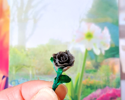 薔薇なまいにち  1 Amazon.co.jp: 薔薇なまいにち 1 (マーガレットコミックス) : あいざわ