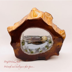 一つ限りの流木アート 海に浮かぶラッコ ジオラマ 流木 フィギュア 置物 インテリア レジン テラリウム 生き物 N6 2枚目の画像