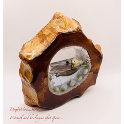 一つ限りの流木アート 海に浮かぶラッコ ジオラマ 流木 フィギュア 置物 インテリア レジン テラリウム 生き物 N6 3枚目の画像
