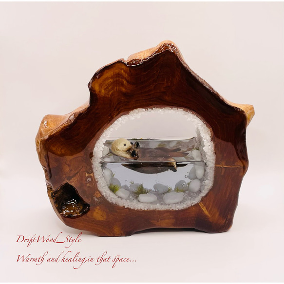 一つ限りの流木アート 海に浮かぶラッコ ジオラマ 流木 フィギュア 置物 インテリア レジン テラリウム 生き物 N6 6枚目の画像