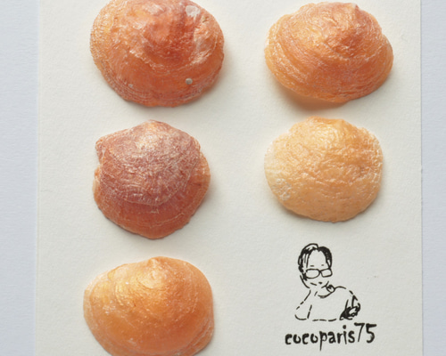 b0341865afd9d20771f03a8c5c1391