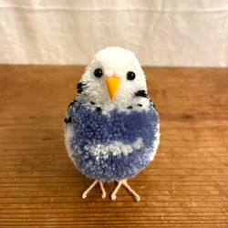 ぽんぽん小鳥 セキセイインコ パイドブルー その他置物 Tao 通販