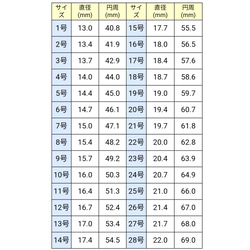  第11張的照片