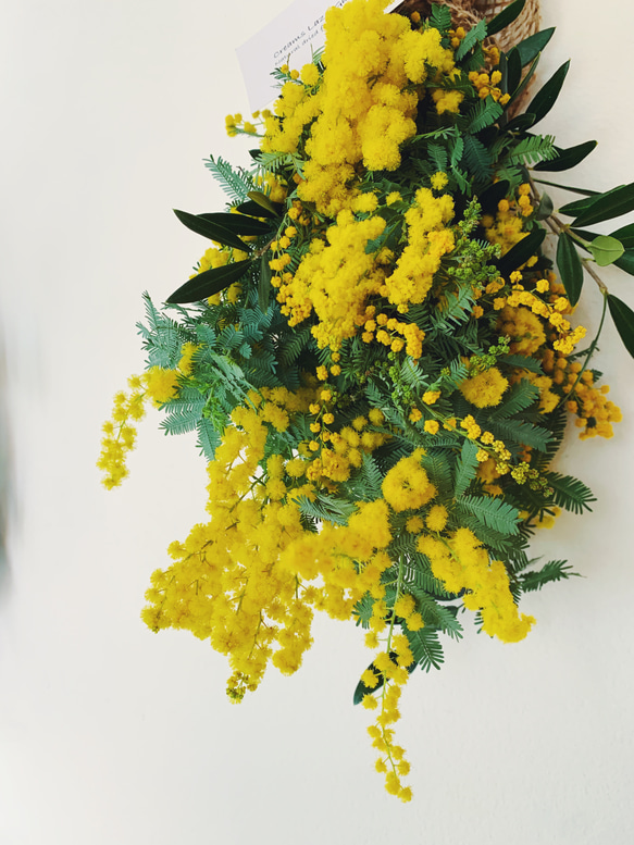 季節のミモザナチュラルドライフラワースワッグ33㎝