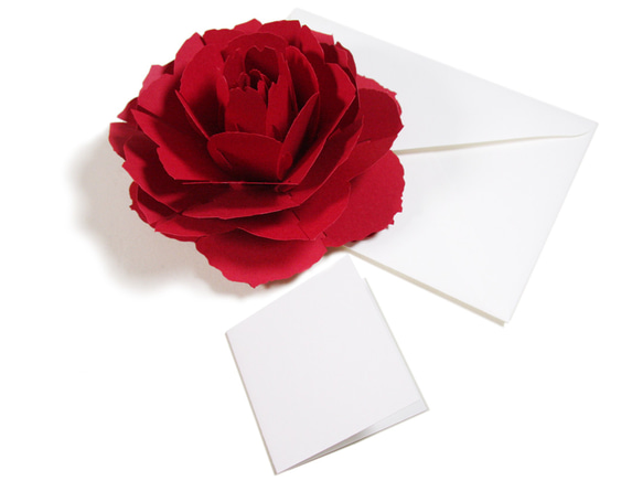 咲くようにひらく 花のサンキューカード〈レッドローズ〉forバースデー・お祝い・母の日  カラーバリエーション有 3枚目の画像