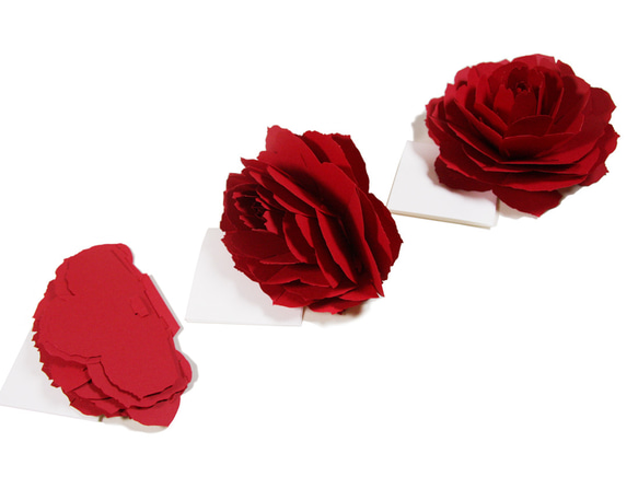 咲くようにひらく 花のサンキューカード〈レッドローズ〉forバースデー・お祝い・母の日  カラーバリエーション有 2枚目の画像