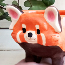 小さなレッサーパンダ植木鉢　パンダ陶器　受注製作 2枚目の画像