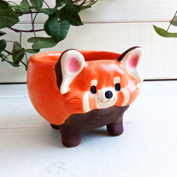 小さなレッサーパンダ植木鉢　パンダ陶器　受注製作 4枚目の画像