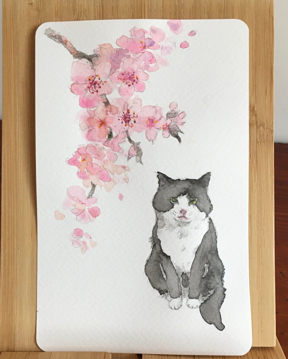 【水彩画】『猫とお花見』【原画】 2枚目の画像