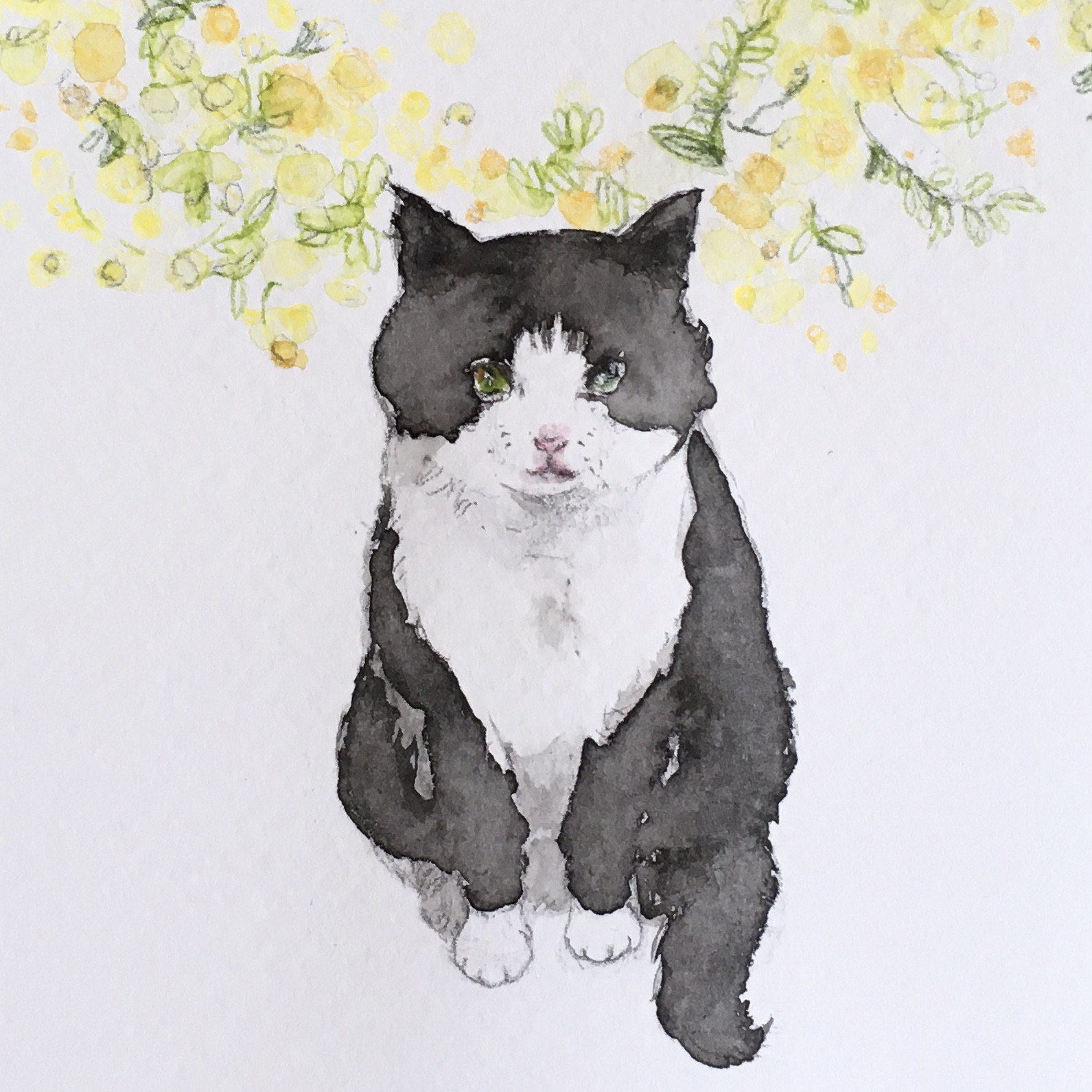 【水彩画】『ミモザと春を待つ猫』【原画】 イラスト KAZE_MACHI 