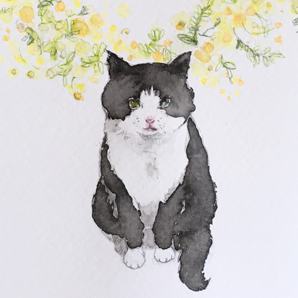 【水彩画】『ミモザと春を待つ猫』【原画】 1枚目の画像