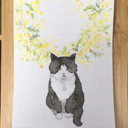 【水彩画】『ミモザと春を待つ猫』【原画】 3枚目の画像