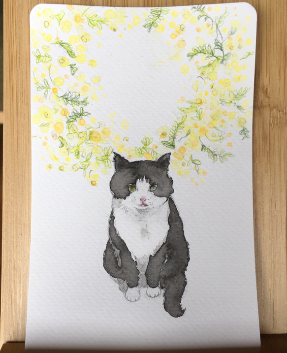 【水彩画】『ミモザと春を待つ猫』【原画】 3枚目の画像