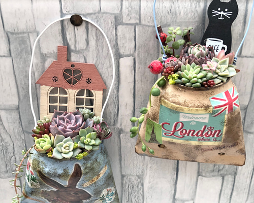 ☆多肉植物 寄せ植え〜リメ缶チェーン寄せ〜☆ 多肉植物 寄せ植え
