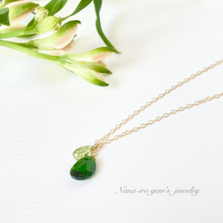 14kgf chrome diopside × peridot necklace 2枚目の画像