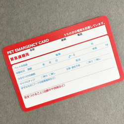 ペット エマージェンシー カード（4枚セット）　災害　対策　救急　救助　防災グッズ　携帯　カード　ペット　身分証 2枚目の画像