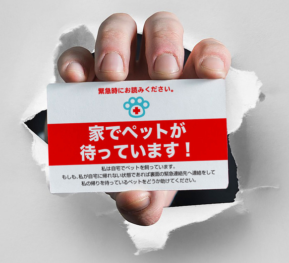 ペット エマージェンシー カード（4枚セット）　災害　対策　救急　救助　防災グッズ　携帯　カード　ペット　身分証 1枚目の画像
