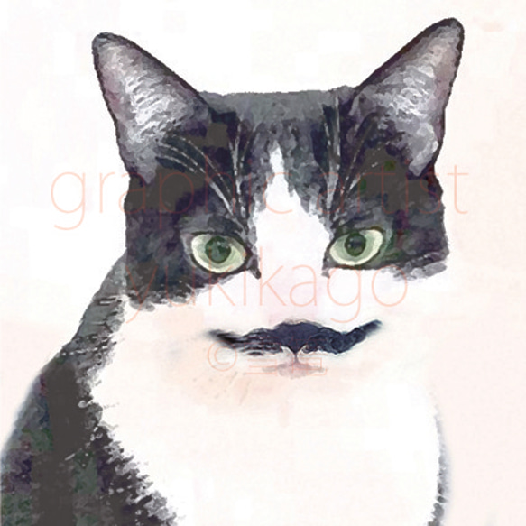 「黒髭・Barbe Noire」猫の肖像画 1枚目の画像