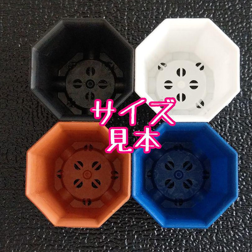 八角鉢 ◎2号◎青 40個 アガベ 多肉植物 プラ鉢 多肉植物 plants_bomb