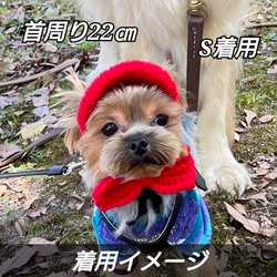 【秋冬】 犬の帽子 耳出しキャップ☆リボン&ポンポン付き 10枚目の画像