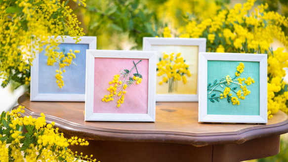 【クラウドファンディングに参加中】ミモザの花刺繍〜Creema Springsに参加しています 3枚目の画像