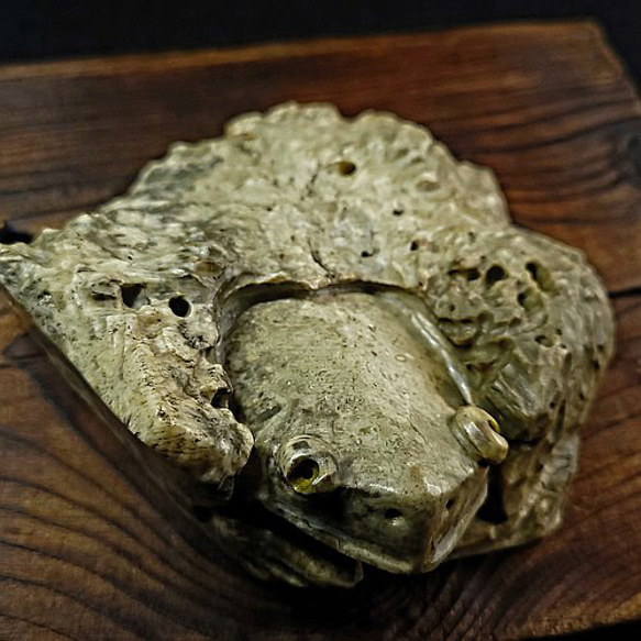 【茶寵 客製石彫】金蛙/錦發 ｜珊瑚化石 雕塑 石雕 茶寵 第3張的照片
