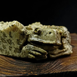 【茶寵 客製石彫】金蛙/錦發 ｜珊瑚化石 雕塑 石雕 茶寵 第1張的照片