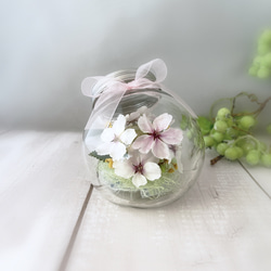 ピンクッションとユーカリのドライフラワースワッグ ドライフラワー