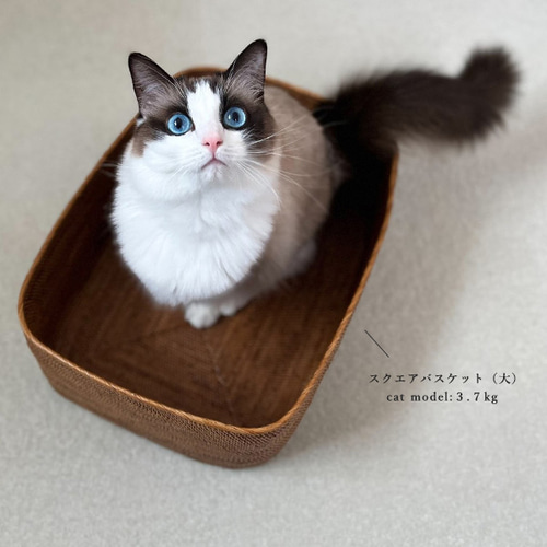 統工芸アタ細工（大）スクエアバスケット 収納BOX見せる収納