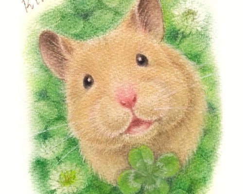 水彩画風ペットの似顔絵（デジタルアート） 江端みゆきさんちの