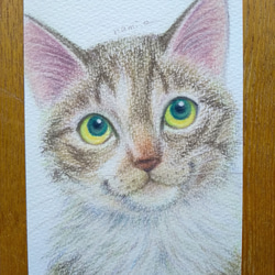 うちの子　似顔絵 ♡ ペット(犬・ねこ・ハムスター・ウサギ) 手がき原画 イラストオーダーメイド　小さめサイズ 6枚目の画像