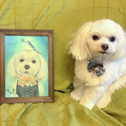 花子さまオーダー 似顔絵「うちの犬」 イラスト作成】オーダーメイド｜犬イラスト｜似顔絵 | Tiamique