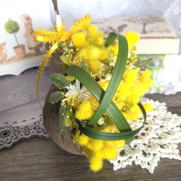 ✪幸せを呼ぶ実✪ 春の訪れを告げる花 ミモザのブッダナッツ・アレンジ (MBサイズ) 2枚目の画像