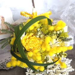 ✪幸せを呼ぶ実✪ 春の訪れを告げる花 ミモザのブッダナッツ・アレンジ (MBサイズ) 9枚目の画像