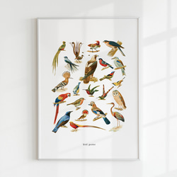 【アートポスター】インテリアポスター　イラスト　ブルー　鳥　赤　アート　北欧　ポスター　韓国　インテリア　シンプル　 1枚目の画像