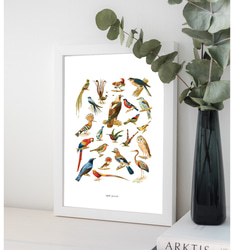 【アートポスター】インテリアポスター　イラスト　ブルー　鳥　赤　アート　北欧　ポスター　韓国　インテリア　シンプル　 2枚目の画像