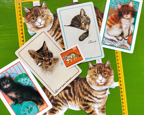 30efcd4041f0cd188a0cc301f94384