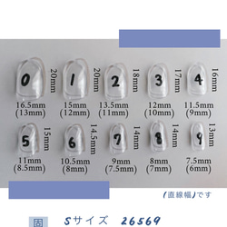 ｻｲｽﾞｵｰﾀﾞｰ/ﾈｲﾙﾁｯﾌﾟ/ｼﾝﾌﾟﾙﾓﾉﾄｰﾝ/ﾌﾗﾜｰ/ 4枚目の画像