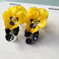 本物の花 ビオラのピアス〈yellow×black〉 3枚目の画像