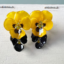 本物の花 ビオラのピアス〈yellow×black〉 2枚目の画像