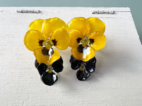 本物の花 ビオラのピアス〈yellow×black〉 2枚目の画像