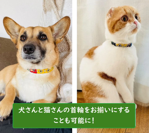 小型犬用オーダーのご案内 4枚目の画像