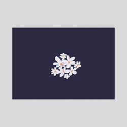 白いお花のポストカード 1枚目の画像