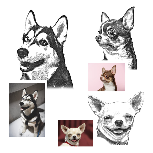 愛犬 わんちゃん オリジナルTシャツ【名入れ】うちの子 オーダー 写真 イラスト ギフト ペット チワワ 柴犬 ハスキー 4枚目の画像