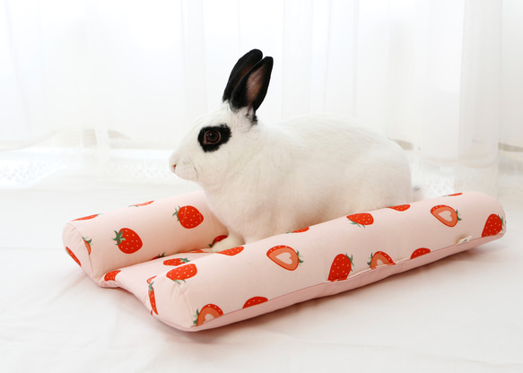 うさぎちゃんのぎゅうぎゅうベッド :イチゴ クッション・ベッド