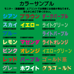 カラーサンプル 7枚目の画像