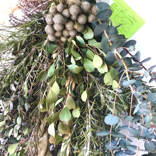 香り立つ無農薬 65cm大型グリーンハーブスワッグ ユーカリ多種